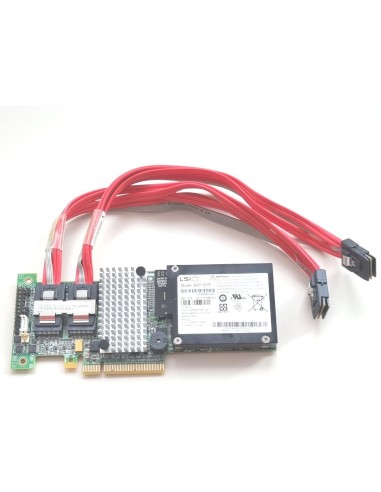 IBM ServeRAID M5015 512MB BATT 46M0851