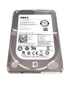 DELL SEAGATE ST9250610NS 250GB SATA 6G 2,5 0DNTWD
