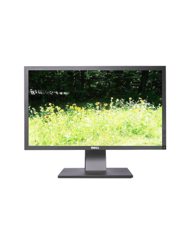 MONITOR DELL P2411HB 24' TN LED DVI FULL HD KL.A