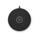 MIKROFON LOGITECH RALLY MIC POD V-U0049 889-000136