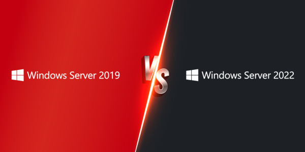 System WINDOWS SVR 2019 vs WINDOWS SVR 2022